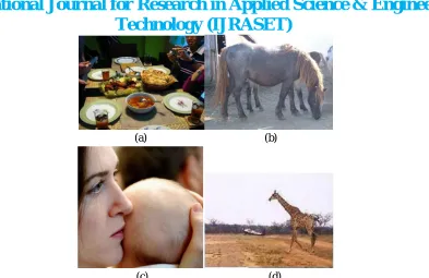 Fig. 1. Object detection Challenges (a) hierarchical objects (b) overlapping boundaries (c) very large object (d) tiny object  