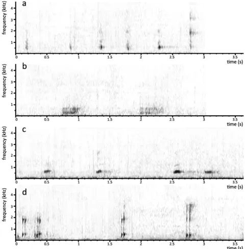 Figure 1. Orang-utan call spectrograms. Spectrograms of orang-utan calls: a) ‘nest smacks’; b) ‘raspberries’; c) ‘harmonic uuhs’; d) ‘throatscrapes’