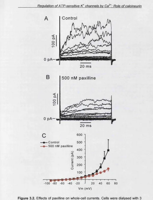 Figure 3.2. Effects of paxilline on whole-cell currents. Cells were dialysed with 3 