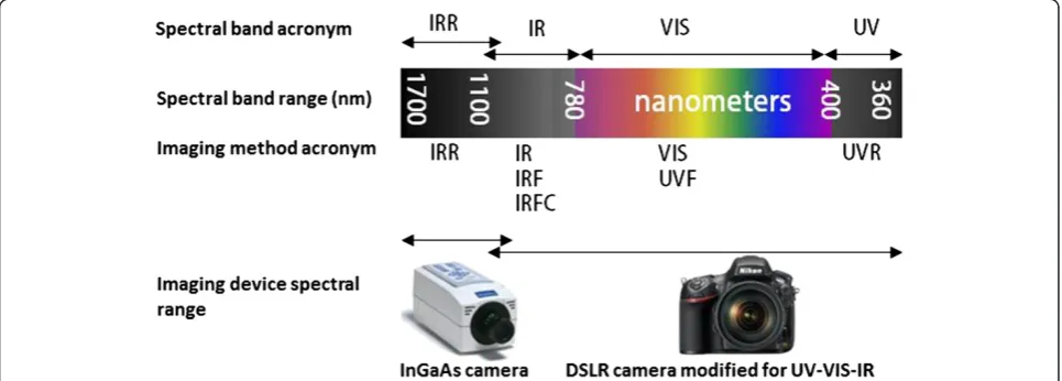 Figure 1 Illustration of the spectral bands, imaging methods and imaging devices which contribute to the flowchart described inthis paper.