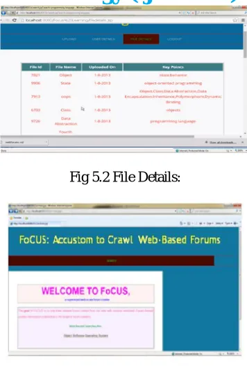 Fig 5.2 File Details: 