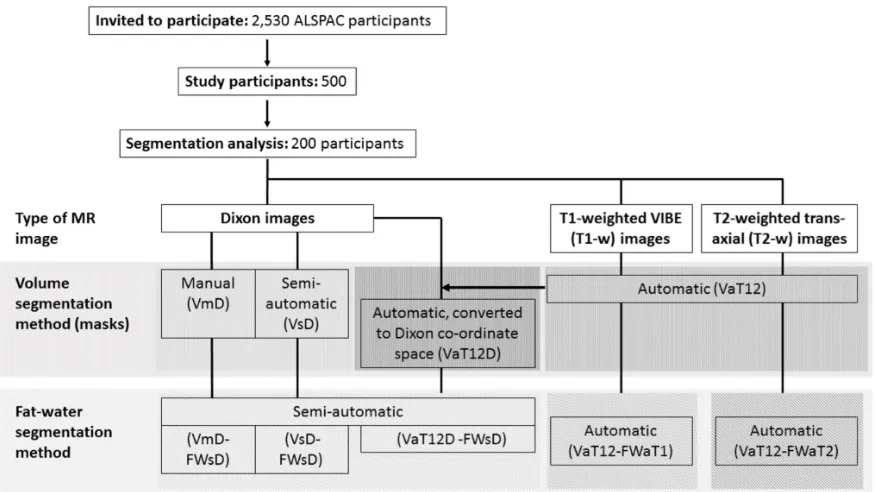 FIG. 1: Flow diagram of the overall data processing chain and nomenclature for the varioussegmentation methods