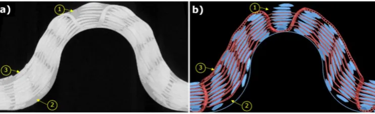 Figure 3: Compacted 3D orthogonal woven fabric, comparison between CT-Scans and predictions made by the kinematic modelling approach 