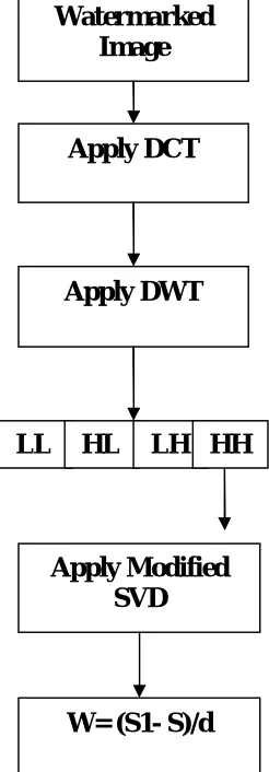 Fig 3: Flow Chart of detection process 