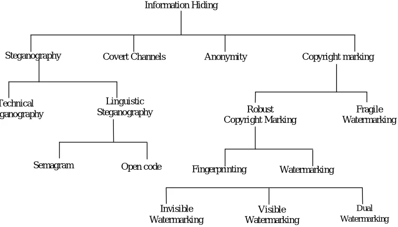 Figure 1.1. Information Hiding Techniques 