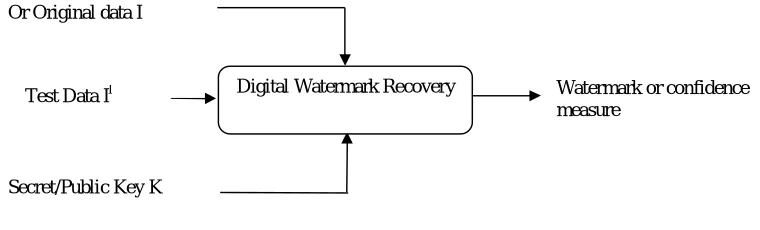 Figure 1.4 Generic Watermark Recovery Scheme 