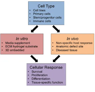 Figure 2. General approaches to assess cellular response to ECM hydrogels. The 