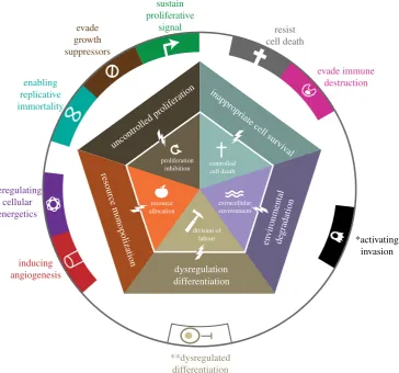 Figure 9. Foundations of multicellularity and cancer hallmarks. The hallmarks of cancer correspond closely to cheating in the foundations of multicellular cooperation.However, there are no currently recognized hallmarks that correspond to the breakdown of 