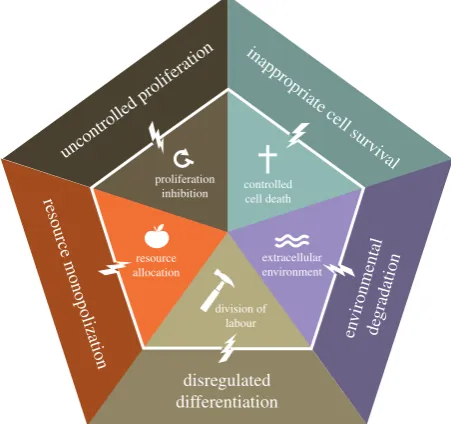 Figure 1. The five foundations of multicellularity. Effective multicellularityrequires several types of cooperation: proliferation inhibition, controlled celldeath, resource allocation, division of labour, and creation and maintenanceof the extracellular e