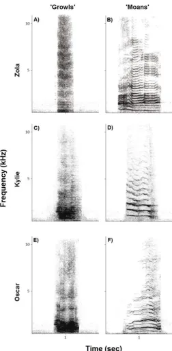 Figure 1. Spectrographic examples of call types from the three seals. ‘Growls’ are broadband, 