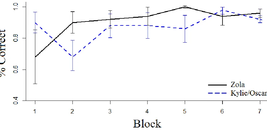Figure 3. Test session accuracy by blocks of 50 trials. Accuracy (percentage correct) and 