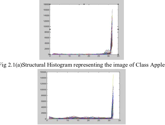 Fig 2.1(a)Structural Histogram representing the image of Class Apple  