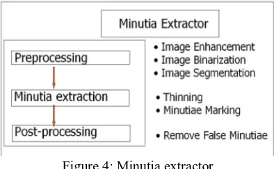 Figure 3. Various Types of Minutiae 