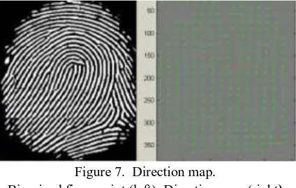 Figure 7.  Direction map. Binarized fingerprint (left), Direction map (right