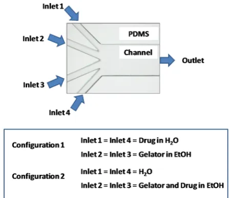 Figure 2. Photograph showing the inlets and outlet of the microsetup and the experimental conﬂuidicﬁgurations for the gelation experi-ments.