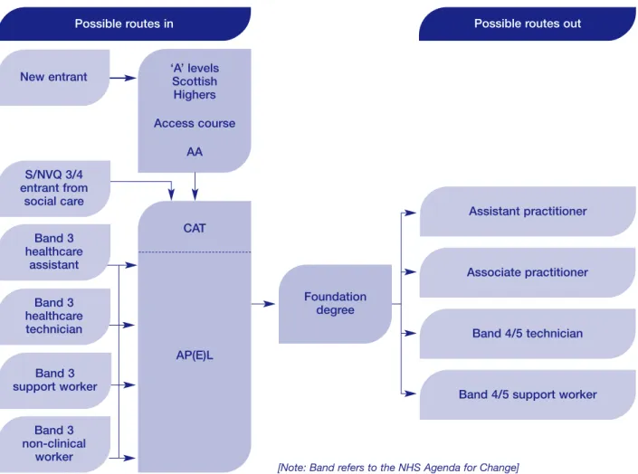 Figure 4 Positioning the Foundation degree as a Career Progression Route within the Healthcare Sector