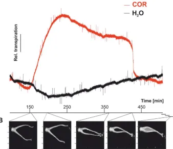 Fig. S2: COR induces exocytosis-based fluid phase secretion. 