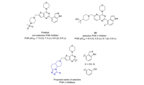 Figure 9. Potent pan PI3K inhibitor pictilisib, δ-selective PI3K inhibitor 52, and proposed inhibitors based on the tricyclic scaﬀold.