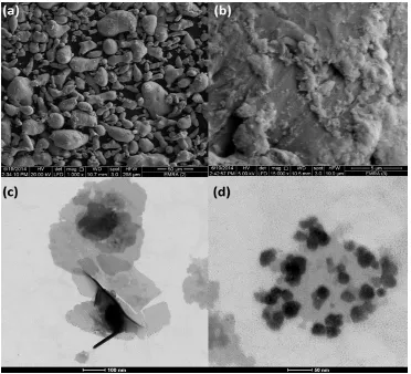 Fig (2) Electron microscopy images (a) FE-SEM of as received Lead,  (b) FE-SEM of 60 min milled Pb/PVA, (c, d) HR-TEM of 60 min milled Pb/PVA