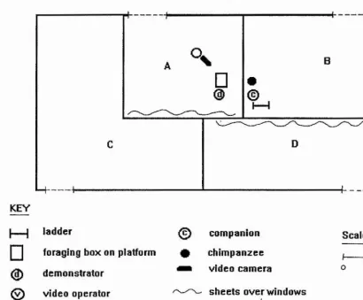 Figure 10.10: Overhead view of the testing conditions at Madrid Zoo