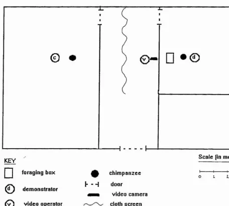 Figure 10. : Overhead view of the testing conditions at Yerkes
