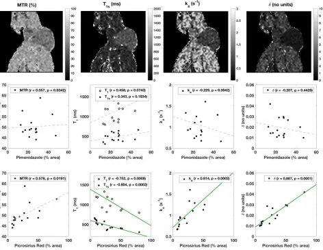 Figure 5: Example magnetisation transfer parameter maps (top row, with binary mask around animal), with 