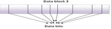 Fig.3: Data Blocks 