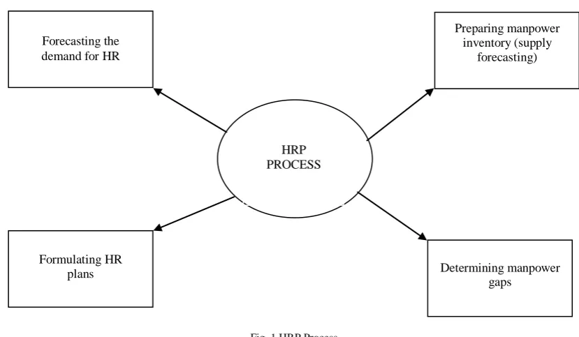Fig. 1 HRP Process 