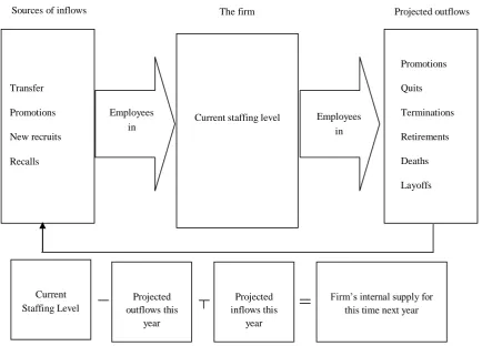 Fig. 2 Estimated internal labour supply for a firm 