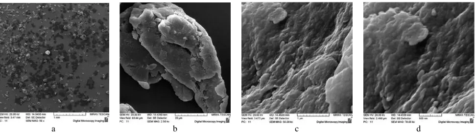 Figure 7 - The morphology of the particles of polyamide 6 and kaolinite: initial (a, b) and the mechanically activated for 4 min at 60g  