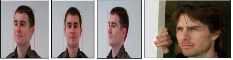 Fig 5 : Multiple Faces 