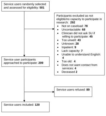Table 9 National Survey sub-study: service user characteristics (n=120)
