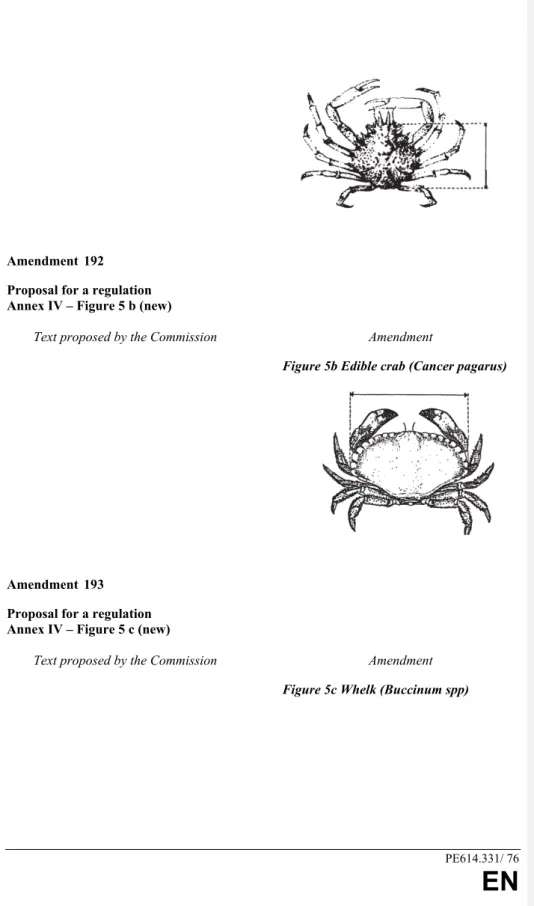 Figure 5b Edible crab (Cancer pagarus)