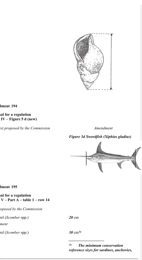 Figure 5d Swordfish (Xiphias gladius)
