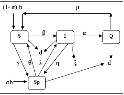 Fig. 1  (S – Sp – I – Q) Model – An epidemic model for the flow of  worms in the e-commerce network