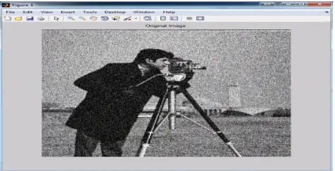 Fig. 3 Input Images 