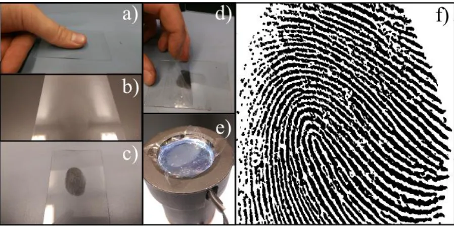 Figure 5. Waveguide imaging of powder coated fingerprints. A latent fingerprint was deposited on a clean glass slide (panels a and b) before a black fingerprint powder was applied using a fingerprint brush (panel c)