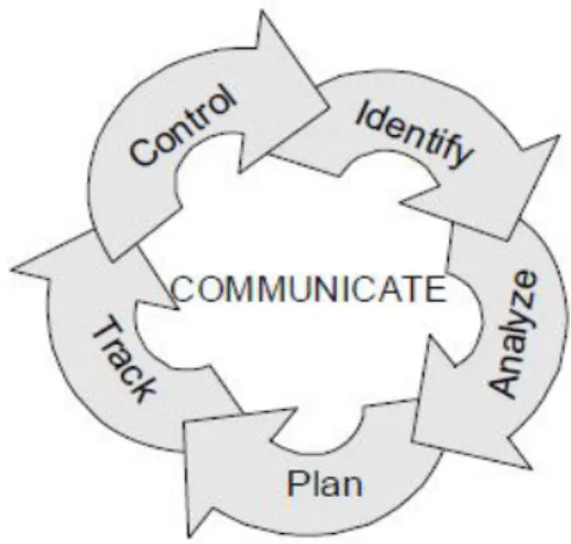 Fig. 1. Software Risk Management Paradigm 