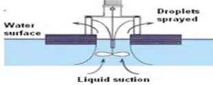 Figure 4: Sewage Oxidation Ponds 