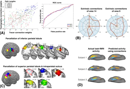 FIGURE 5A, Correlation between connection weights inferred from tracers and tractography in the macaque connectome (correlation coefficientr ~ 0.55).23 The correlation is primarily driven by shorter connections