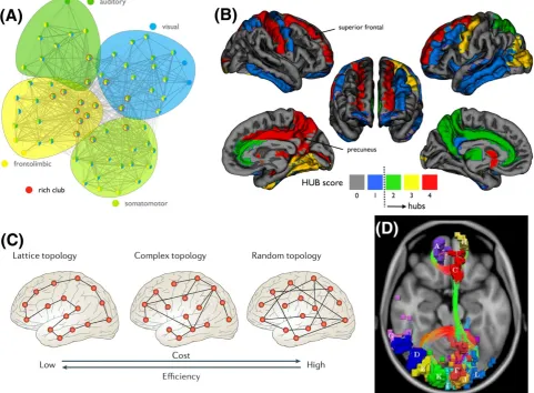 FIGURE 6Characteristic network properties of brain graphs. A, Brain graphs are modular networks