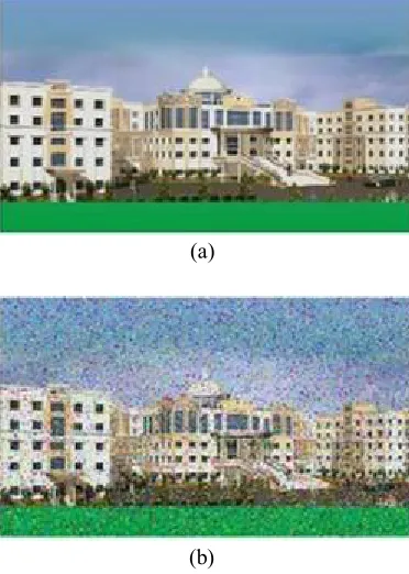 Fig 7. (a) input image  (b) Image with Impulse noise 