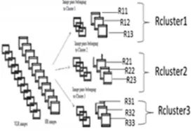 Fig 9: Sample images 