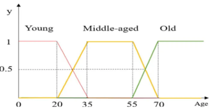 Fig. 3    Fuzzy membership functions for linguistic terms of attribute 