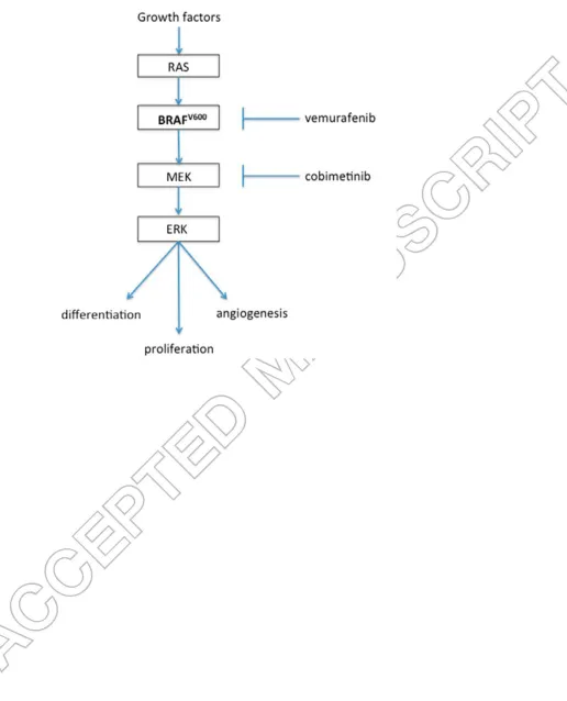 Figure 1: Oncogenic signaling via the MAPK pathway 