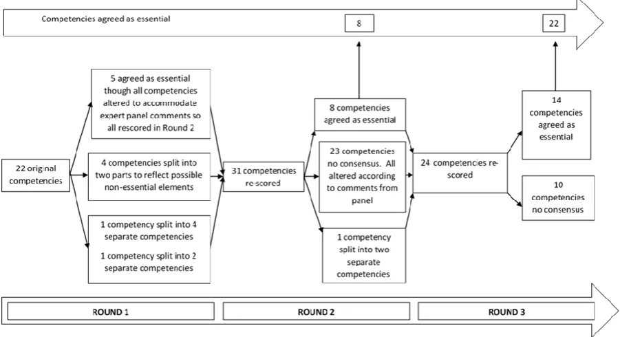 Figure 2. Flowchart representing the consensus process 