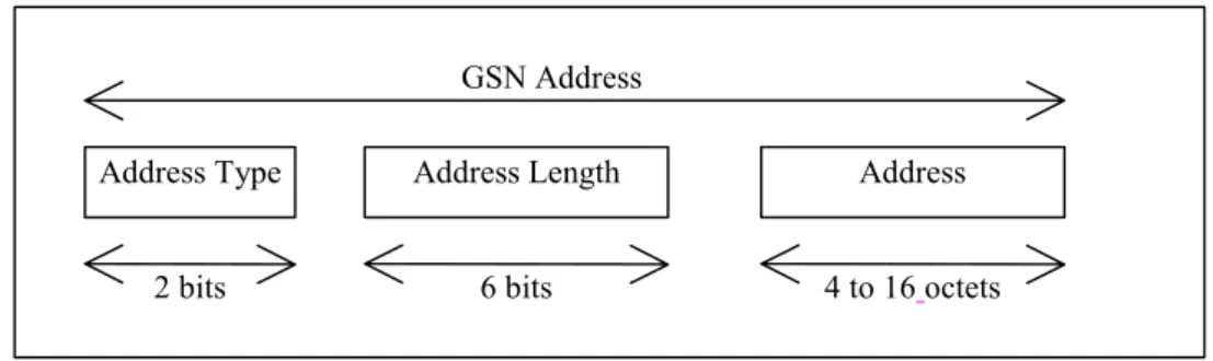 Figure 9: Structure of GSN Address  The GSN Address is composed of the following elements:   