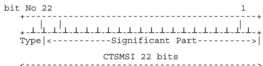 Figure 13: Structure of CTSMSI  The CTSMSI is composed of the following elements: 