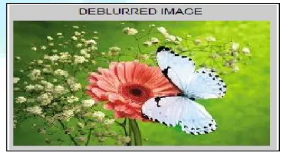 Fig.3(c) Blurred image for the process of deblurring