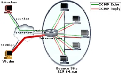 Figure 3: DDoS Attack Taxonomy3: DDoS Attack Taxonomy
